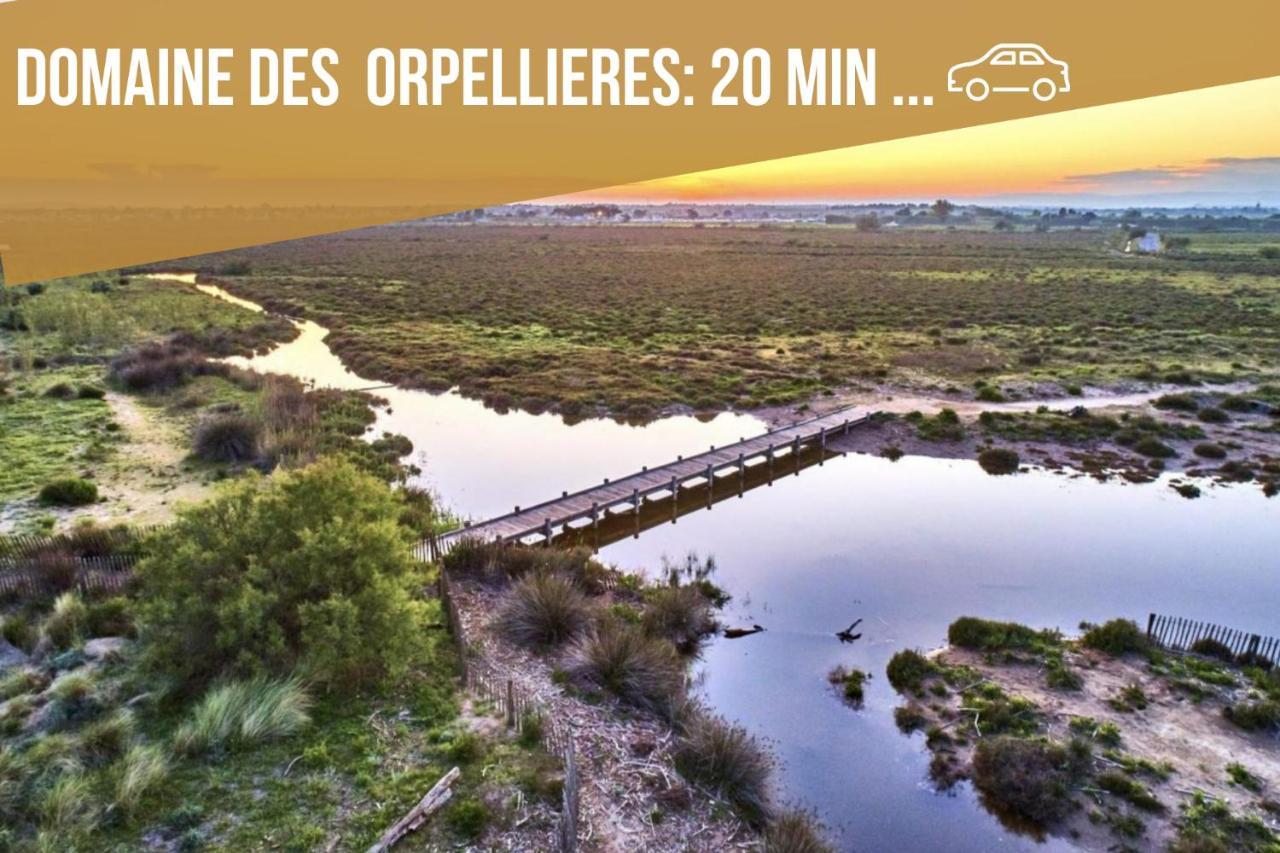 Centre Historique - Free Parking - Self Checkin - Wifi - Industriel - Sleepntripbeziers公寓 外观 照片